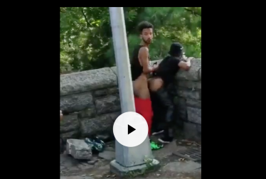 Caught In The Park